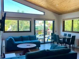 Palguin pad 4 Pucón central - segundo piso