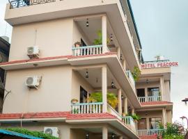Peacock - a family-run hotel，位于索拉哈的酒店