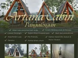 Artana cabin