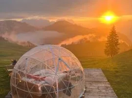 Panorama-Bubble Klewenalp