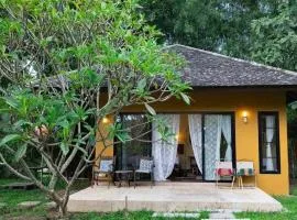 Palette Luxe Elephant Camp Maerim