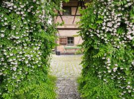 Hostel Feldkirch，位于费尔德基希的酒店