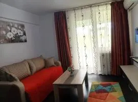 APARTAMENt ULTRACENTRAL