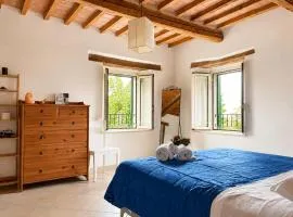 Foxes house