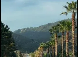The Little Mountain Suite