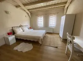Fântânele Vacation Home, Charming Rustic Home