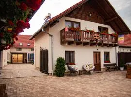 Casa Iancu Jina