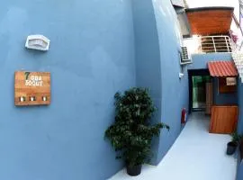 7 Oda Söğüt
