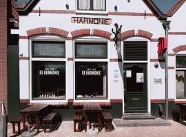 Hotel - Cafe De Harmonie,位于埃丹的酒店