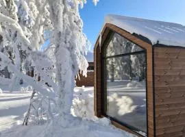 Arctic Nest Forest Cabin