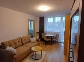Apartament z widokiem na Zamek