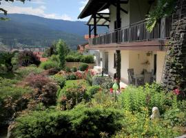 Ferienwohnungen Gästehaus Schreiner，位于阿尔拉赫的酒店