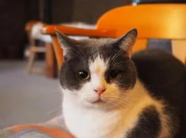 Guesthouse PAW
