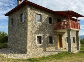 Hasan Nika's Tower