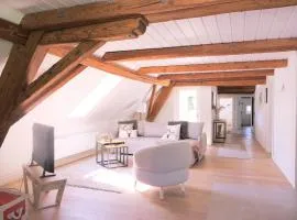 Family Suite little Nest, 120 m, Hallwilersee Nähe, Hund,2 PP, 2 Bäder