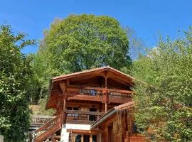 Magnifique chalet , 10 personnes, vue panoramique, bain nordique