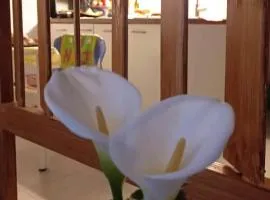 L'angolo