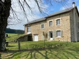 Grand gîte rénové 8 pers en Haute-Loire calme et nature