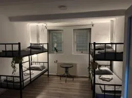 Carol 51 Hostel