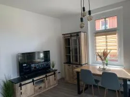 schönes Apartment in Bitterfeld nähe Goitzschesee