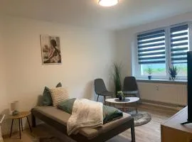 modernes 2-Raum-Apartment in Bitterfeld nähe Goitzschesee