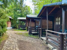 Bungalow Camping Edelweiss - Floare de colt - Gyopár，位于里梅泰亚的酒店