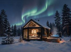 Levi Nordic Star Igloos，位于列维的酒店