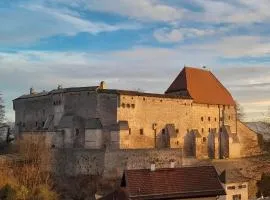 BurgVier Ferienwohnung in der Burg