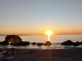 Zia Pinotta