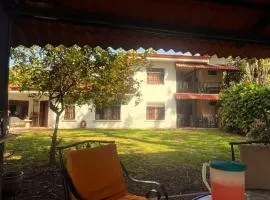 Blue Palm Bed & Breakfast
