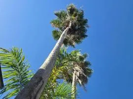 Sea Shell Palms, Ocho Rios