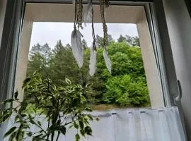 Apartmán s terasou REZIDENCE 300 Všemina