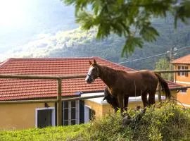 Casa Nord Silvano - rustico di paese
