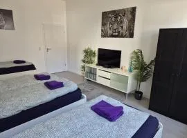 Stadtnah an der Förde 75 EG L