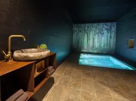 SUITE TESORO climatisée avec piscine spa hammam et jardin avec piscine