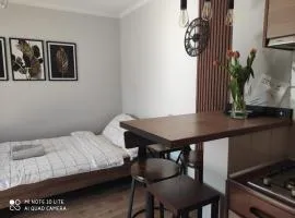 Pokoje Gościnne Leśna 33