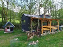 Anciasglamp