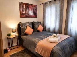 Comfortable and Cozy Apartment in Dresden