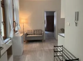 Apartmány Plzeň Centrum Veleslavínova