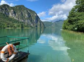 Ferienwohnung Seestern-Mondsee，位于阿特湖畔翁特拉赫的酒店