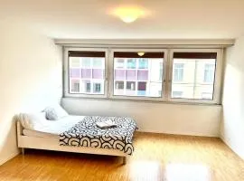 Downtown Flats - Lake Lucerne