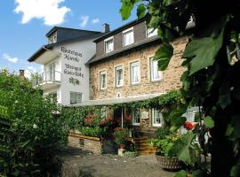 克莱因 - 格茨酒庄旅馆，位于布鲁蒂格-凡克尔的酒店