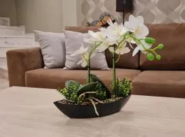 Toroni Pearl