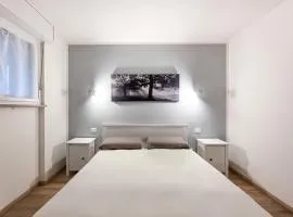 B&B Color Rovereto