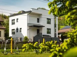 Dom w Beskidzie Sądeckim, 8 osób, szlaki, cisza