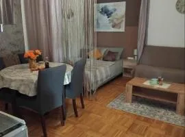 Studio apartman Vuković 4 zvjezdice