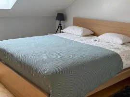 Scandinavian Home Apartment