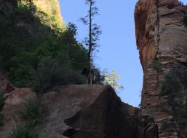 Zions Suites And Tours，位于Colorado City的酒店