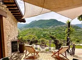 Il cottage degli ulivi
