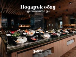 Santé SPA Hotel，位于韦林格勒的酒店